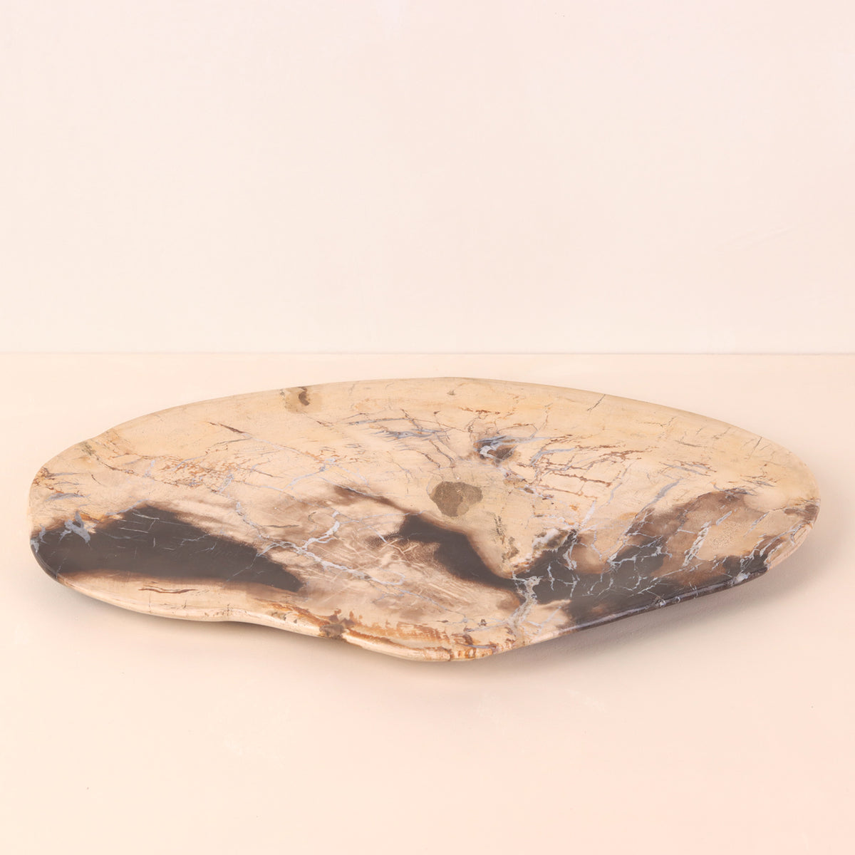 Petrified Wood Serving Tray – TreeHause