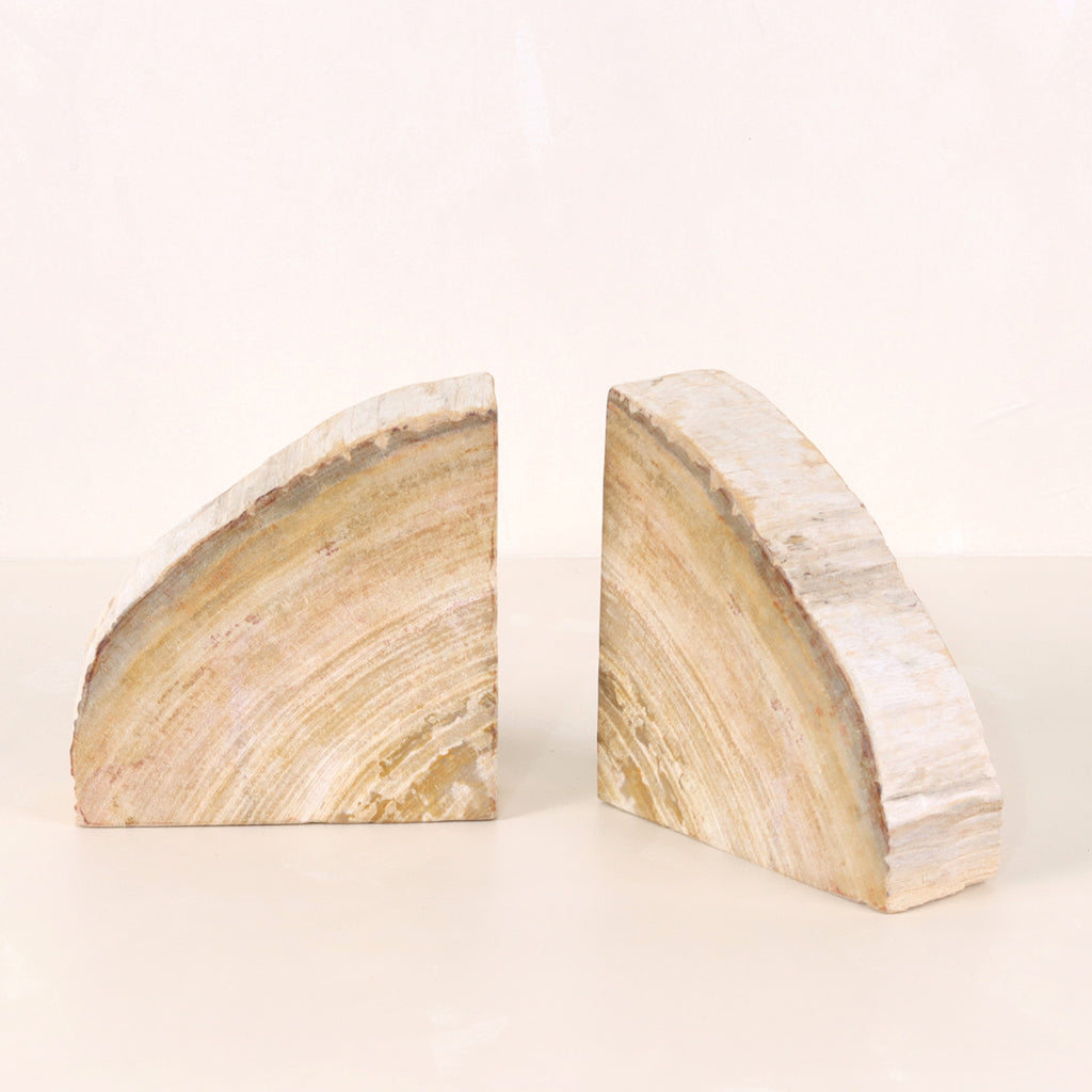 Petrified Wood Bookends Cream and Grey