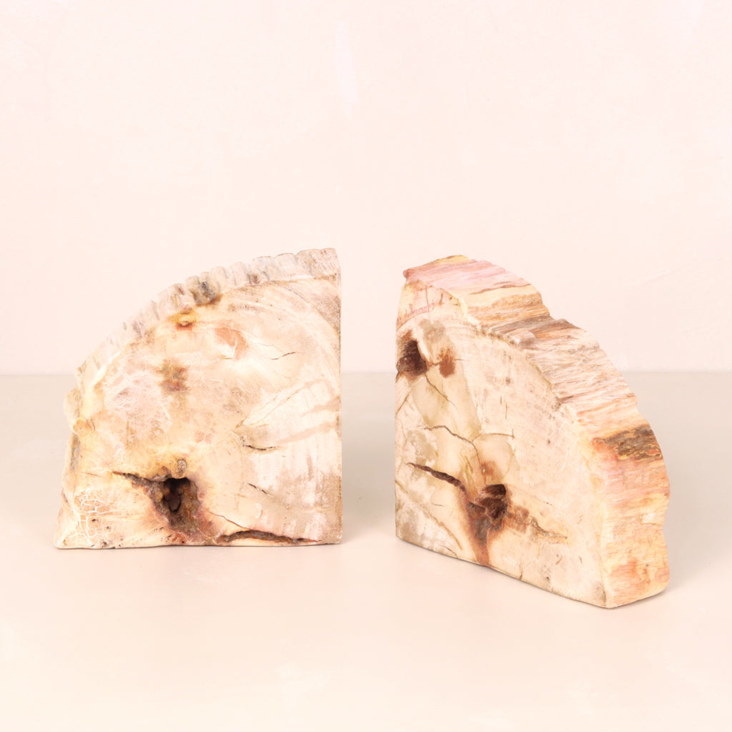 Petrified Wood Bookends cream and rust