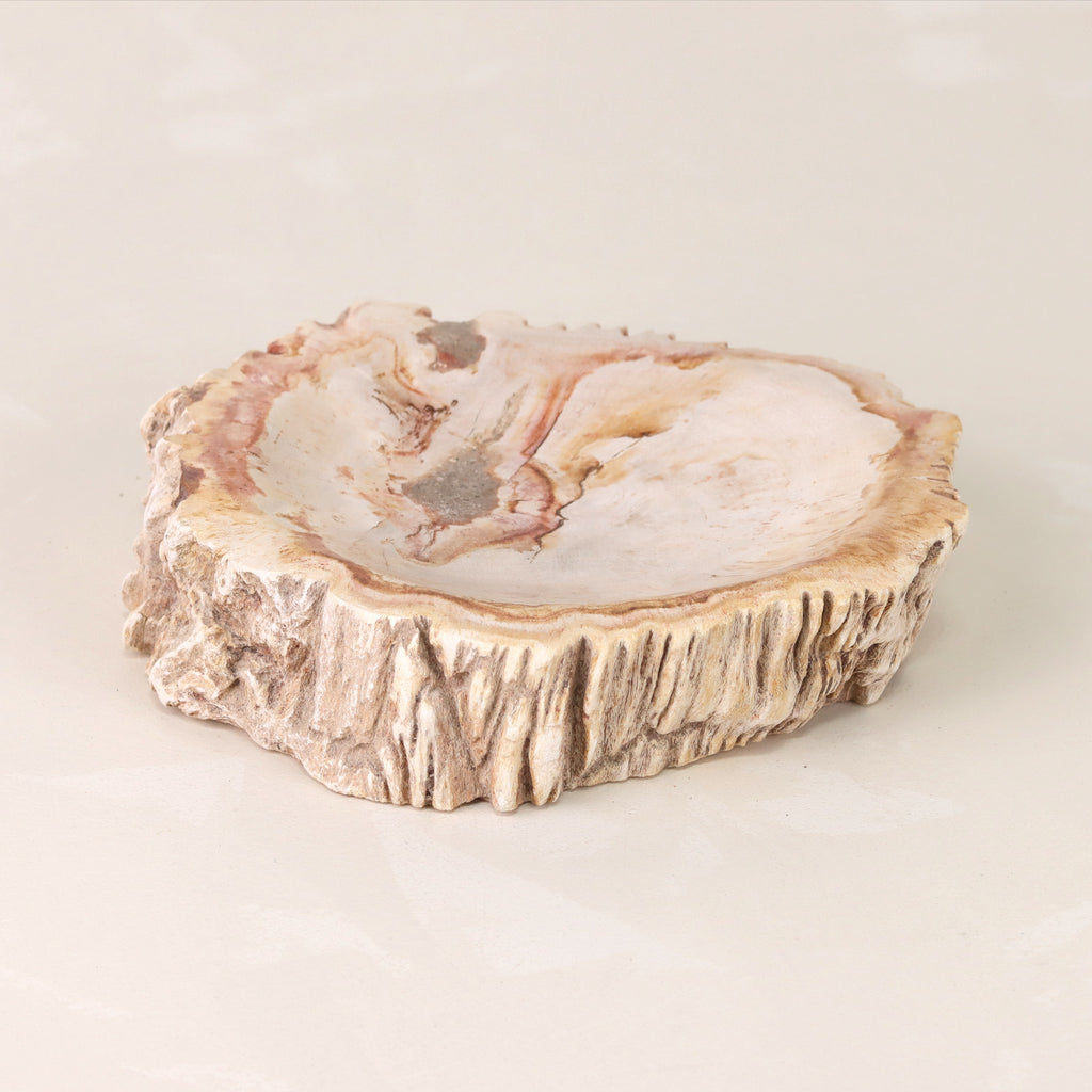 Petrified Wood Bowl cream and rust