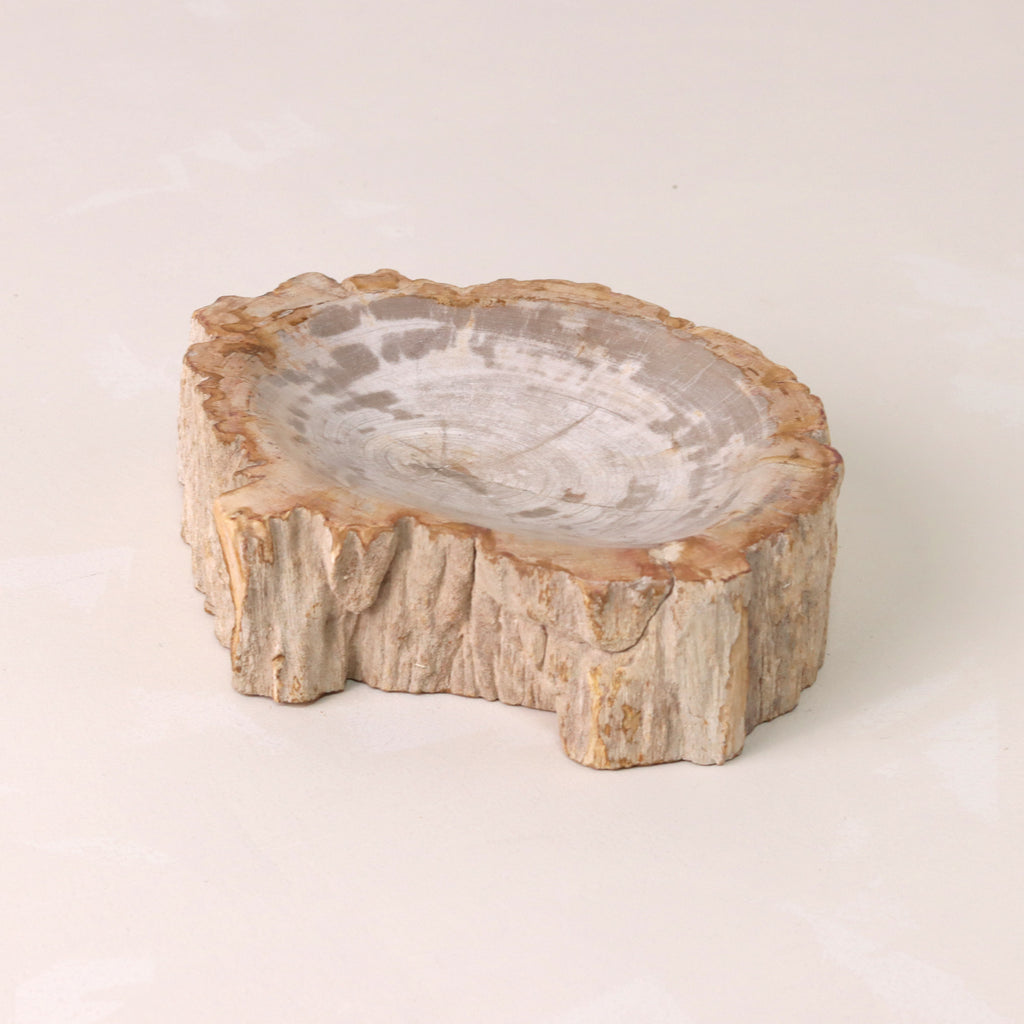 Petrified Wood Bowl cream and grey