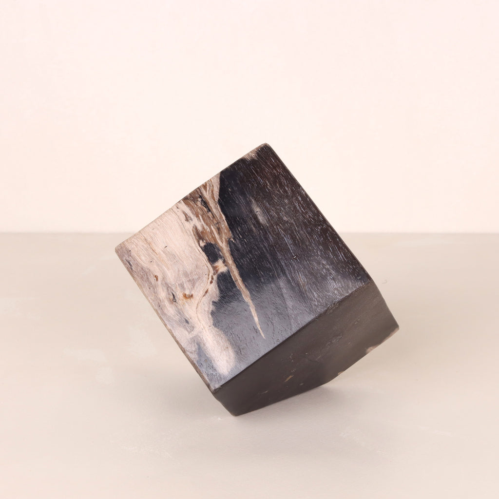 Petrified Wood Cube Mostly Black