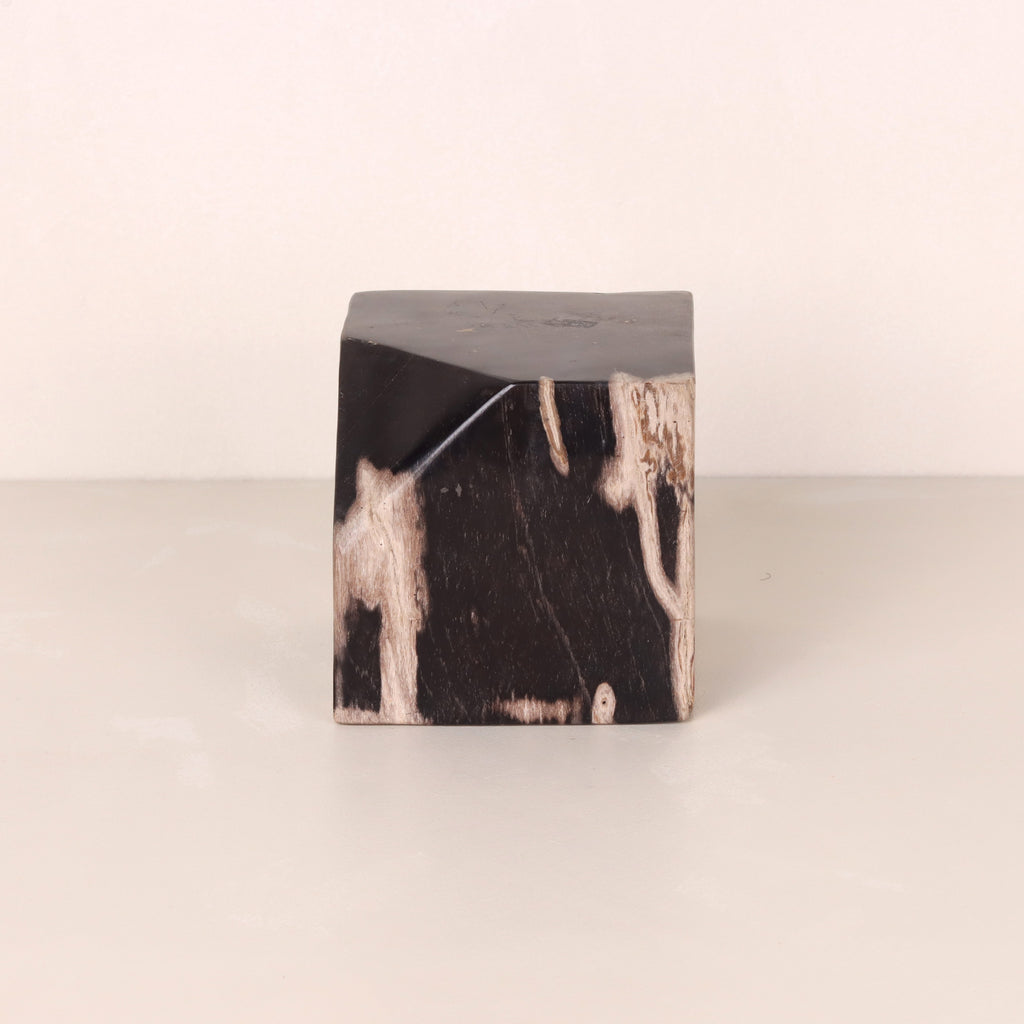 Petrified Wood Cube Mostly Black