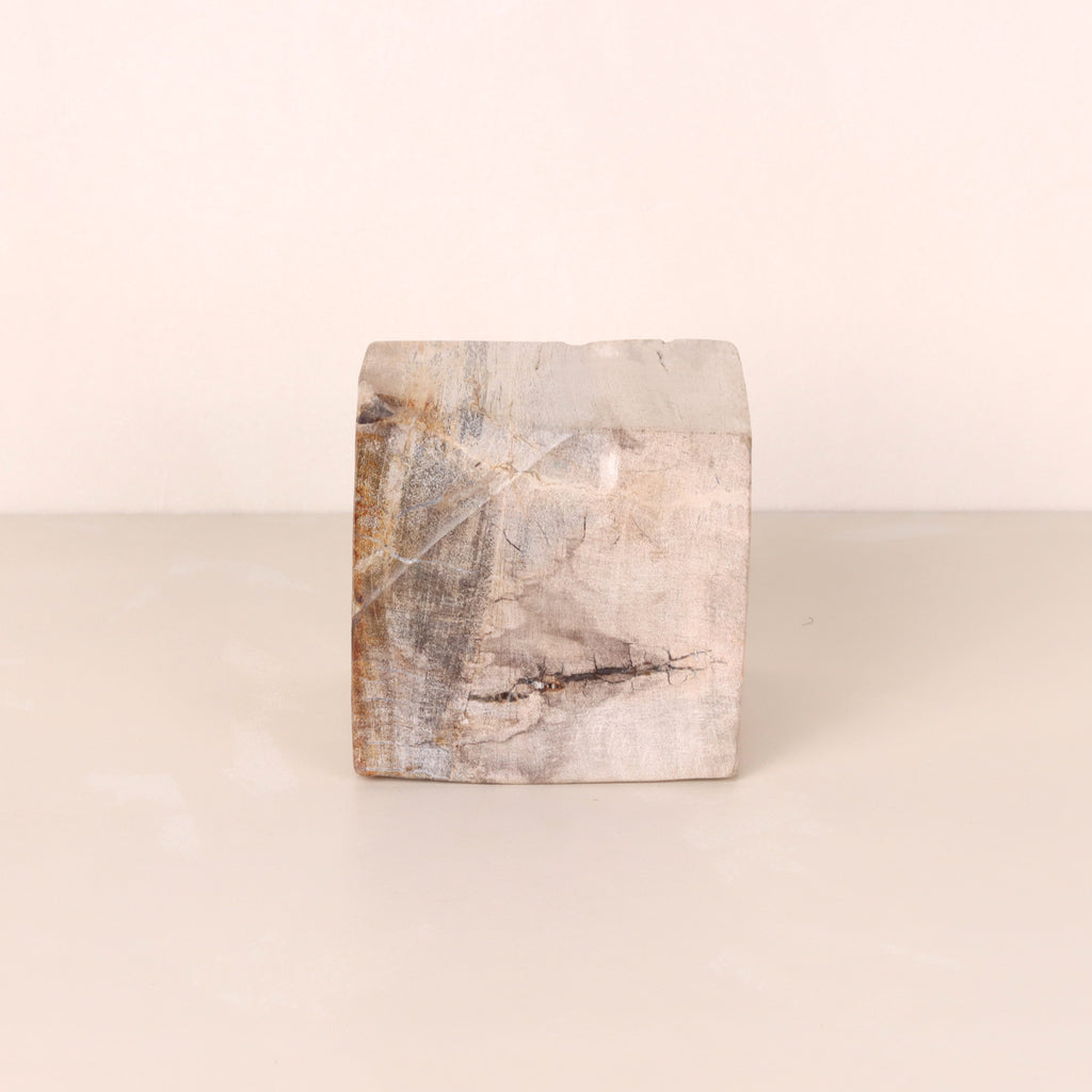 Petrified Wood Cube Mostly Cream