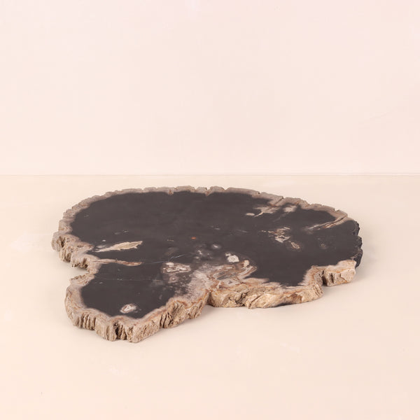 Petrified store Wood Extra Large Serving Platter - Cheese Board, Indonesian Petrified Wood (PW46)